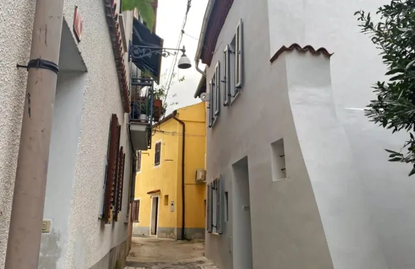 Največ zanimanja je bilo za (so)financiranje zamenjave stavbnega 
pohištva in namestitve klimatske naprave, nekaj je bilo tudi delnih 
oziroma celovitih obnov stanovanjskih enot. Foto: arhiv MOK