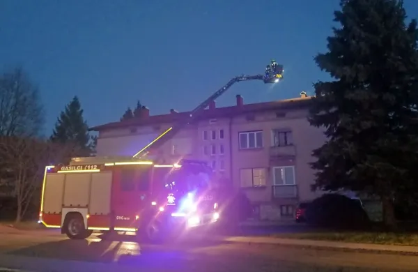 Zagorelo v dimniku
