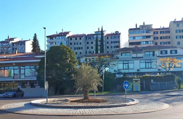 Mestna občina Koper je letos v sklopu projektov participativnega 
proračuna in rednega vzdrževanja javnih zelenih površin zasadila 
približno 300 novih dreves in grmovnic. Foto vir: Marjetica 
Koper