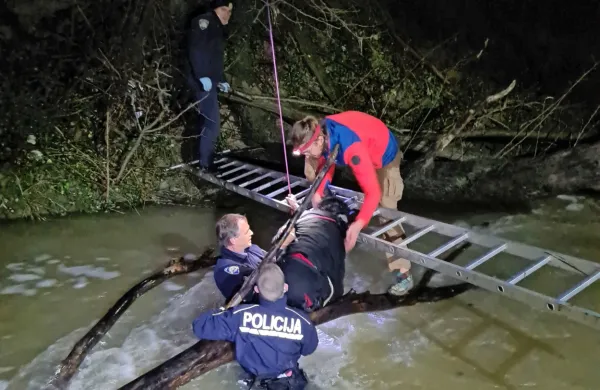  S hrvaške strani so prinesli lestev,  s  katero  so  pomagali  spraviti 
žensko iz vode. (foto: PU Koper)
