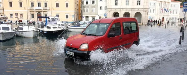Novembra 2019 v Piranu najpogostejši  prizor 