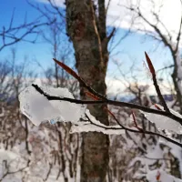 Zimske podobe so privlačne tudi za fotografski objektiv.
