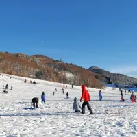 Lokve  so pozimi, ko je sneg, pravi magnet za novogoriško mladež. 
Minuli konec tedna je bilo tam nadvse živahno. 