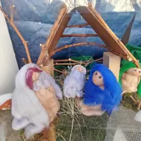 Praznično vzdu&scaron;je z jaslicami na prostem in v izložbah