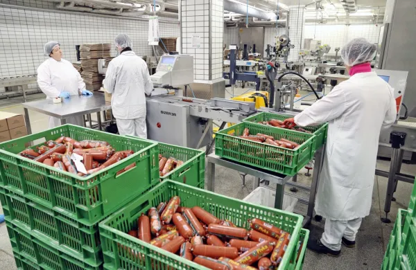 Družba Pivka perutninarstvo je že julija 2018 v nekdanjem 
Mipovem kompleksu v Kromberku zagnala proizvodnjo piščančjih 
izdelkov.