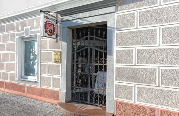 Vir okužbe sta  tatarski biftek in goveje meso, namenjeno za 
pripravo tatarskega biftka v lokalni mesnici.