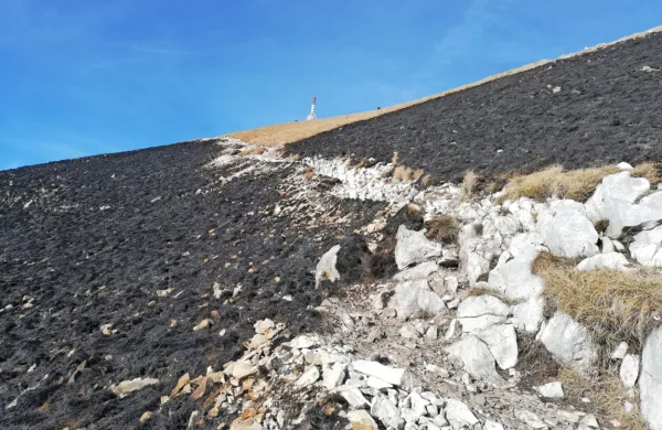 Posledice včerajšnega požara na Nanosu (foto: Petra Vidrih)
