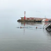 Novoletni skoki v morje spontano živijo dalje