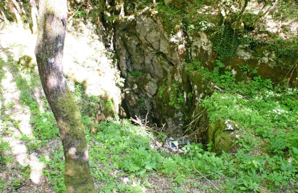 V kraška brezna s(m)o pred desetletji odmetavali razne odpadke: 
od viška gnojil in živalskih kadavrov do avtomobilskih karoserij. 
Na fotografiji: vhodno  brezno Kasirove jame ob cesti Obrov-Golac. 