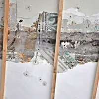 Ohranjeni dve plasti poslikav: pastelni zeleni toni so starejšega datuma, temnejši 
barvni toni pa mlajšega. 