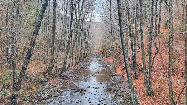Potok Suhorca v spodnjem toku, tik pred izlitjem v Padež. Na njem 
bi zgradili pregrado, za katero bi nastalo akumulacijsko jezero.