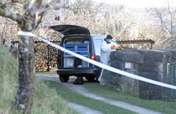 Poleg novogoriških kriminalistov, forenzičnih tehnikov in policistov so pri ugotavljanju okoliščin smrti moškega sodelovali tudi 
italijanski varnostni organi. 