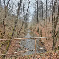 Gradnja akumulacije na potoku Suhorca (na fotografiji) in Padež bi 
stala predvidoma 134 milijonov evrov, preko omrežnine pa bo 
dobršen del te vsote pristal na položnicah prebivalcev slovenske 
Istre.

  
