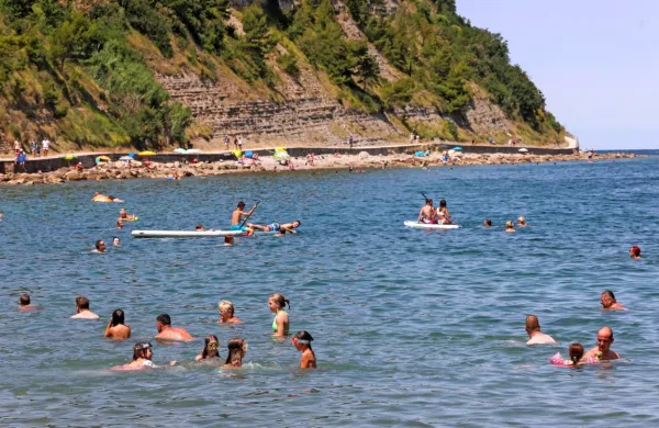 Leto 2021 je bilo eno izmed sedmih najtoplejših let v zgodovini.