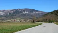 Gradnja protipoplavnih nasipov ob Beli se verjetno ne bo začela 
pred jesenjo, sanacijo propustov in mostov na potoku Ženevšček 
v Vrhpolju pa bi lahko začeli prej.