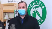 Nikola Šavle