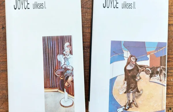 Joyceovega Uliksesa imamo v prevodu Janeza Gradišnika. 