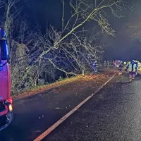 Nesreča se je zgodila pri Bujah na cesti med Divačo in Ribnico.