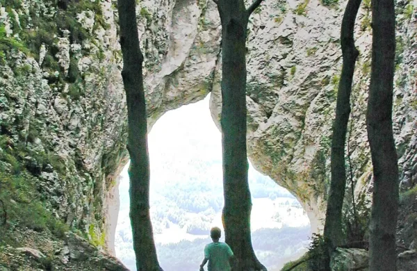 Otliško okno (fotografija je simbolična)