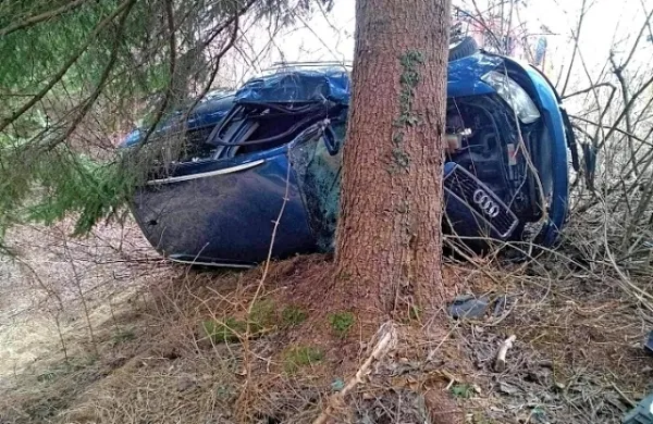 Trije mladeniči so prevračanje in ustavljanje v smreki preživeli le 
z lažjimi poškodbami.