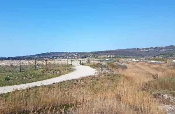      

Zemljišča v zaledju tretjega bazena v Luki potrebujejo za skladiščenje avtomobilov.