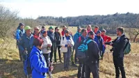 V Društvu turističnih vodnikov Krasa in Brkinov do sredine marca 
pripravljajo zanimiva vodenja.