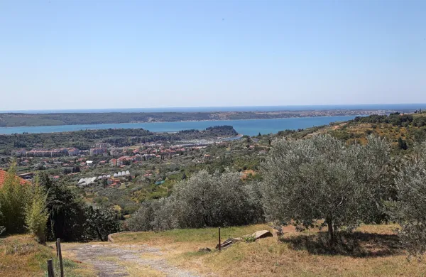 Ključna izhodišča pri pripravi osnutka  prostorskega načrta so, da bi se začelo razmišljati o novih razvojnih potencialih, ne le turističnih.