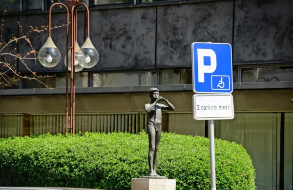 Programski svet Radiotelevizije Slovenija (RTVS) bo objavil nov 
razpis za generalnega direktorja zavoda.