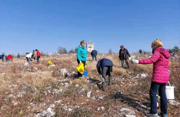 Danes dopoldne so na Cerju številni prostovoljci, ljubitelji dreves 
in Krasa, s krampi, lopatami, vedri znova pomagali dodatno 
pogozditi območje.
