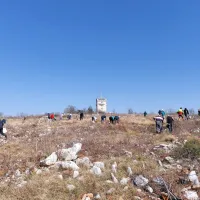 Danes dopoldne so na Cerju številni prostovoljci, ljubitelji dreves 
in Krasa, s krampi, lopatami, vedri znova pomagali dodatno 
pogozditi območje.