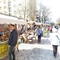 Tudi drugi Gregorjev sejem je, podobno kot tisti leta 2019,  odlično 
obiskan.