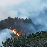 Požar na Ajdovskem: goreti je začelo blizu hi&scaron; na območju Cola