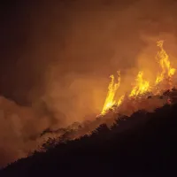 Požar, ki je včeraj popoldne izbruhnil na težko dostopnem pobočju 
Gore nad cesto med Ajdovščino in Colom, se je do večera razširil na 
približno 50 hektarjev površine.