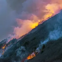Požar, ki je včeraj popoldne izbruhnil na težko dostopnem pobočju 
Gore nad cesto med Ajdovščino in Colom, se je do večera razširil na 
približno 50 hektarjev površine.
