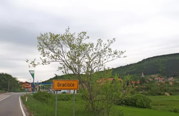 V Gračišču je nekdo zastrupil pet mačk. 