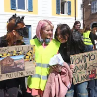 Mladi v Ljubljani, Mariboru in Kopru opozarjali na podnebne spremembe