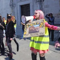 Mladi v Ljubljani, Mariboru in Kopru opozarjali na podnebne spremembe