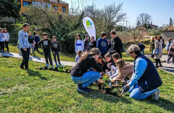 V Piranski občini so danes posadili sedem novih medovitih 
dreves