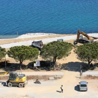 Še malo, pa bo nova plaža med Semedelo in Žusterno ozelenela in 
zaživela.
