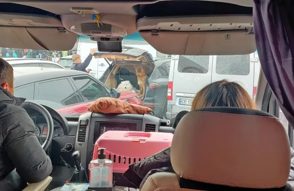 Hišni ljubljnečki za nekatere predstavljajo zadnji košček doma, ki 
ga vzamejo s sabo. 
