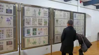 1286 cvetlic na znamkah