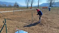 Občina je na novi lokaciji za mestne vrtičke uredila  101 parcelo, 
zanimanje pa je preseglo ponudbo.