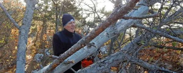  Aldo Zubin je med prvimi na terenu, ko je treba urejati planinske 
poti in se z motorno žago prebijati skozi goščavje.
