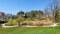  Borov gozdiček sredi Nove Gorice je pravi raj za oddih. 
