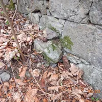Na varno so odpeljali sedem topovskih granat kalibra 75 milimetrov, topovsko granato kalibra 65 milimetrov in šest topovskih 
vžigalnikov kalibrov od 65 do 105 milimetrov.