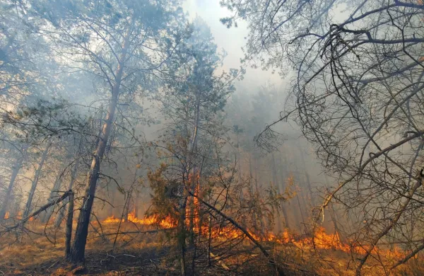 V treh tednih velike požarne ogroženosti je na Primorskem in 
drugod po državi zaradi neupoštevanja prepovedi kurjenja v 
naravi zagorelo velikokrat. 