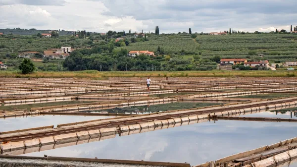 Varovanje narave in okolja se pogosto znajde v nasprotju z interesi 
gradnje infrastrukture.