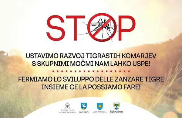 Občine slovenske Istre skupaj v preventivni akciji proti tigrastim komarjem