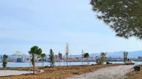 Na nasipu v Žusterni bodo  zasadili približno 200 različnih dreves 
ter številne grmovnice in trajnice.