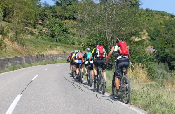 Med 27. aprilom in 1. majem bodo kolesarji kolesarili okoli 
Slovenije in zbirali denar za nakup koles otrokom iz socialno 
ogroženih družin. Fotografija je simbolična.
